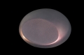 e802fd67d2456372280be399aec9c73e