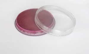 Farba do małowania na ciało Fengda body painting rose 30 g