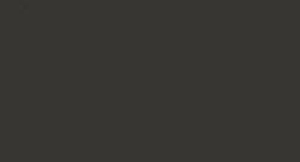 Farba LifeColor UA731 Dirty Black