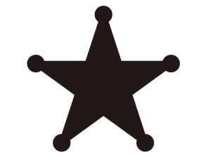 Szablon do błyszczącego tatuażu Fengda 17-10