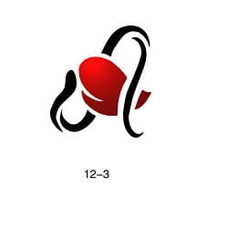 Szablon do błyszczącego tatuażu Fengda 12-03