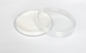 Farba do małowania na ciało Fengda body painting white 30 g