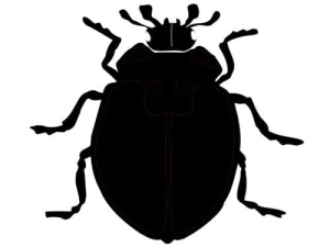 Aerograf szablona do tatuażu V038