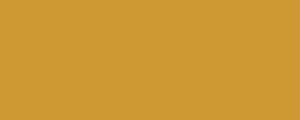 Farba LifeColor UA505 Sandgelb II