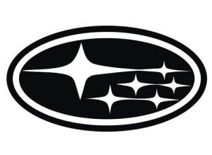 Duża Aerograf szablona do tatuażu V129