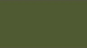 Farba LifeColor UA245 FINNISH WWII ARMY Sammaleenvihreä N:o 2 Moss G...