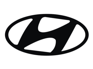 Duża Aerograf szablona do tatuażu V130